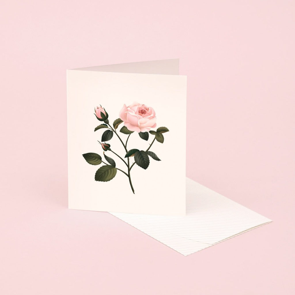 Botanical scented card rose